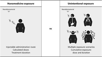 Hazard Assessment of Polymeric Nanobiomaterials for Drug Delivery: What Can We Learn From Literature So Far